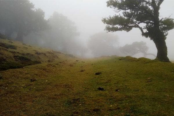 Why Next.js is the Ultimate Choice for SEO