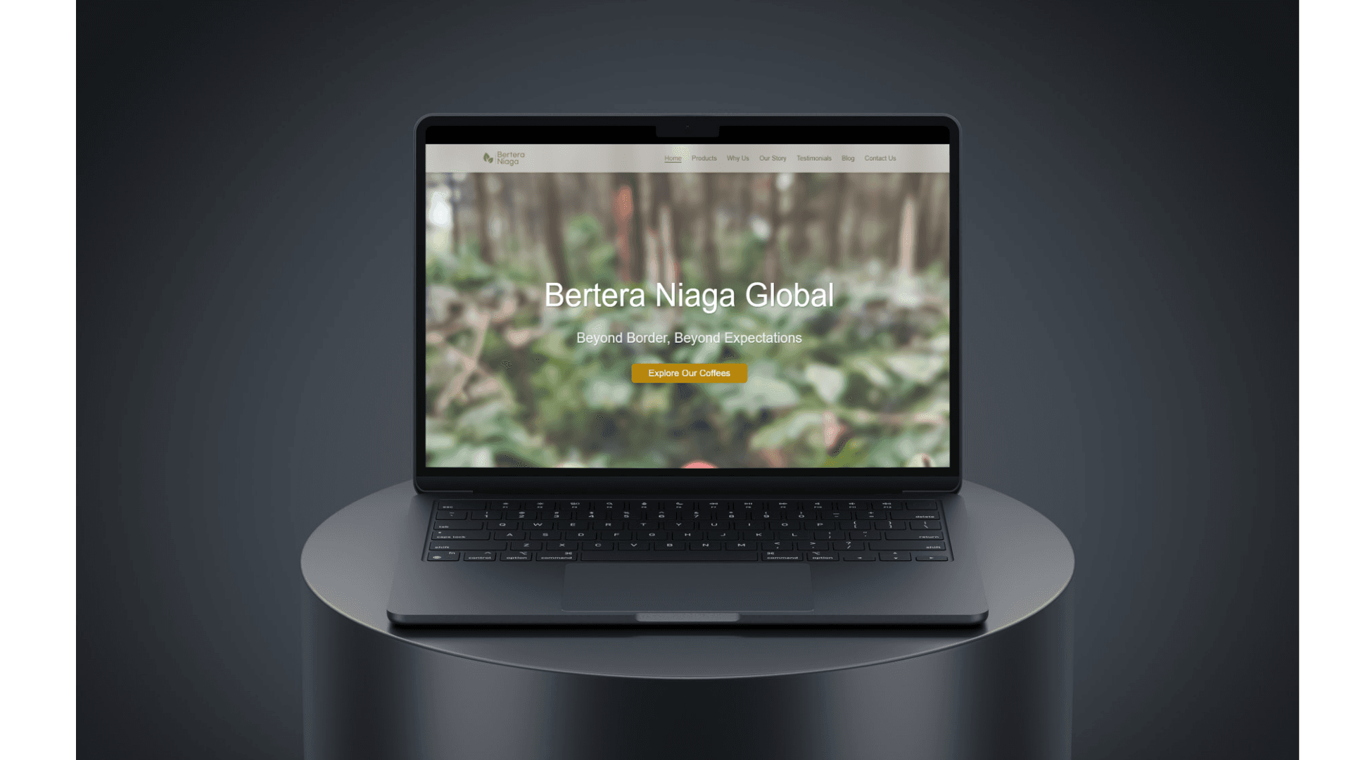 Main view of the Bertera Company Profile & Catalog project
